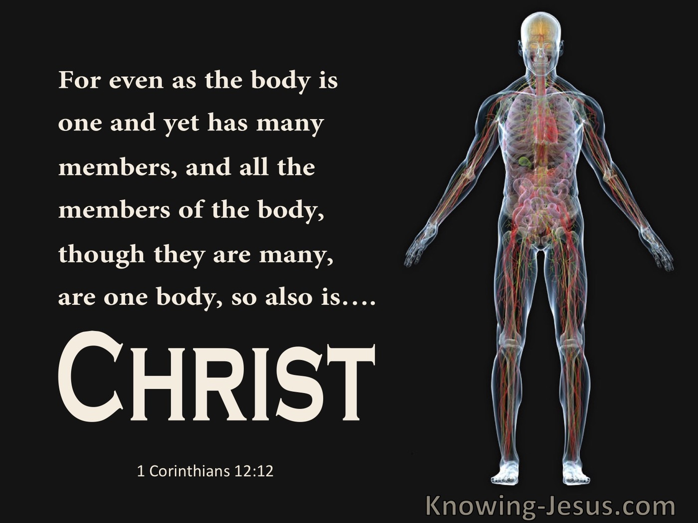 1 Corinthians 12:12 The Body Is One With Many Members So Also Christ (black)